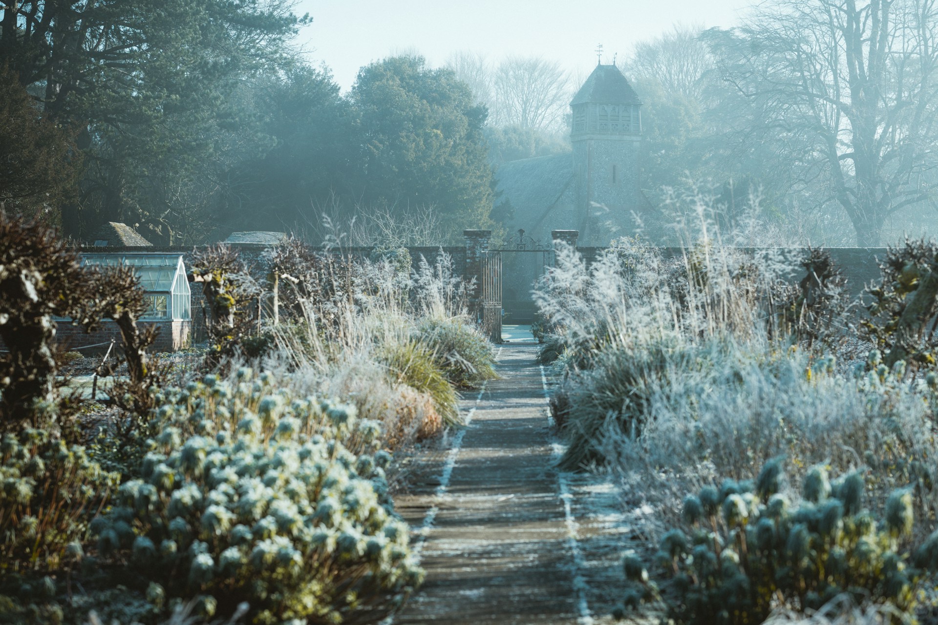 A cold, winter garden with a covering of frost and snow