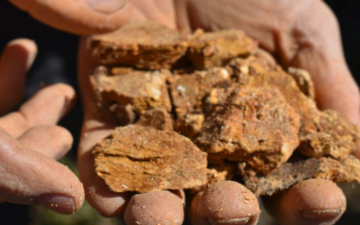 Healthy crumbly garden soil rich in organic matter