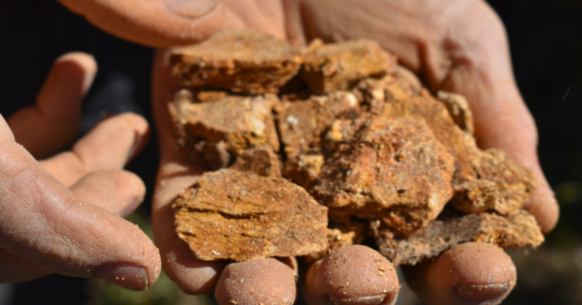 Healthy crumbly garden soil rich in organic matter