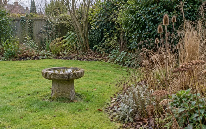 Winter garden with a stone bird bath, evergreen cover and standing seedheads.